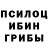 Героин хмурый Alcharyx BS