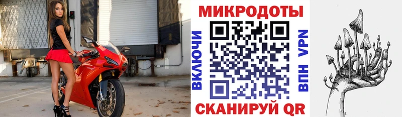 MEGA онион  где купить наркоту  Елизаветинская  Псилоцибиновые грибы MAGIC MUSHROOMS 