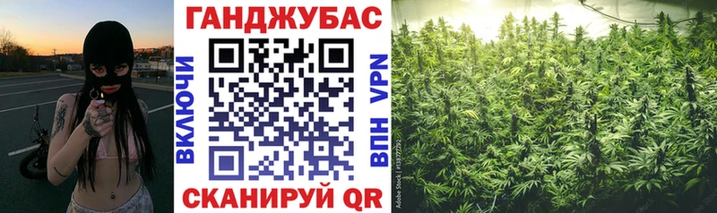 Марихуана THC 21%  купить наркотики сайты  Елизаветинская 